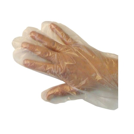 Gordon Brush Disposable Gloves, Poly, L, 500 PK RGLO1